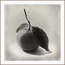 Besucher aus Marokko / ***