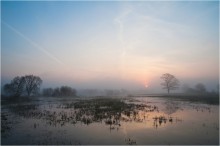 Morgen Nebel / ***