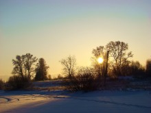 Frosty der Sonne / ***
