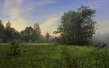 Nebel. Morning. / ***