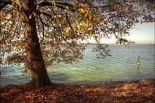 Autumn Idyll / *******