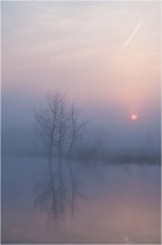Im Nebel / ***