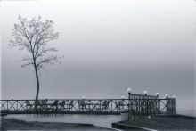 rainy day's blues / ***