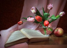 Variationen mit Tulpen / ***