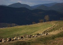 Am Hang des Bergrückens Borzhavski / ***