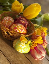 Ostern .... eine Feder Stilleben .... / ***