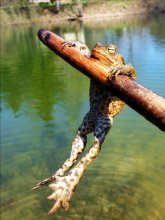 eine Reise / ******************