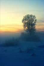 Frost / ********