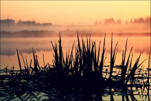 Vom Wasser in die Sonne / ***