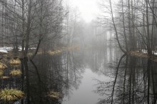 Der März / ***