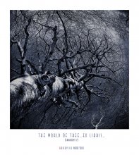 - THE WORLD OF TREE - / ***