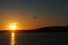 Frühling Sonnenuntergang / *********