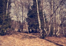 Der Frühling ist gekommen ... / ***