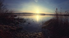 Spring № 3 / ***