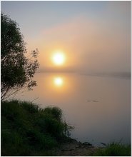 Der Nebel steigt / ***