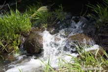 Bubble flow / ***
