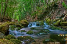 Am unteren Ende der Schlucht / ***