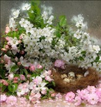 Frühling / ********************