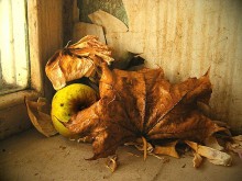 Aus der Serie "Herbst" (5) / ***