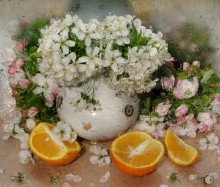Frühling und Orange / **********************