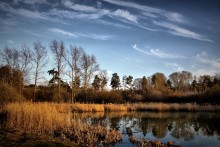 Am Vorabend des Sommers / *********
