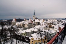Winter Talin / ***