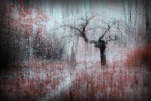_ghost_park_ / She's Watching you...
