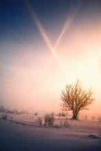 Harmonie der Natur / ******