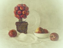 Apfel / . . . . . . . . .