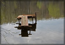 Anisotrope Brücke / ***