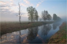 Morning mist / ***