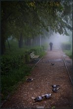 Morgen in den Park ... / ***