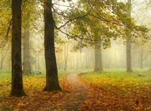 Im alten Park / *******