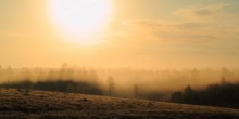 Nebliger Morgen / ***