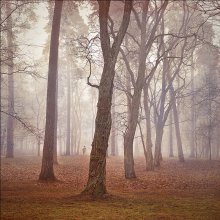 Nebel / ..............