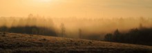 Misty Morning № 2 / ***