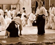 Aikido / ***