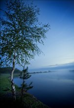 Dance of the Mist " / ***