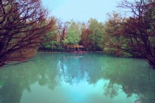 Rinnsal / ***