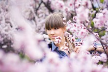 Umgeben von Frühling / ***
