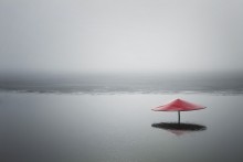 meditation / Foggy spring-morning. Calm and so still. Everything is so clear.
