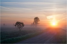 Der Sonne entgegen / ***