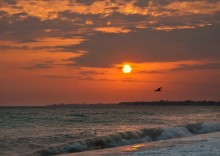 Meer, am Abend. / ******
