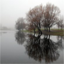 Flügel des Nebels / - - - - -