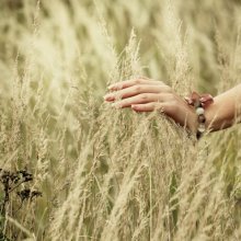 Touch / .....................