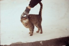 Cat People / ***