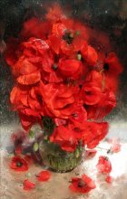 Mohn / ***********************