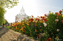 Frühling / *.*.*