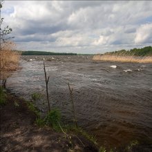 auf dem See / ***