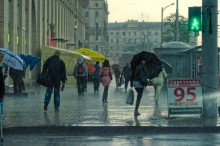Die Mai-regen / ////////